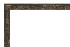Afbeeldingslijst