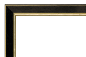 Afbeeldingslijst