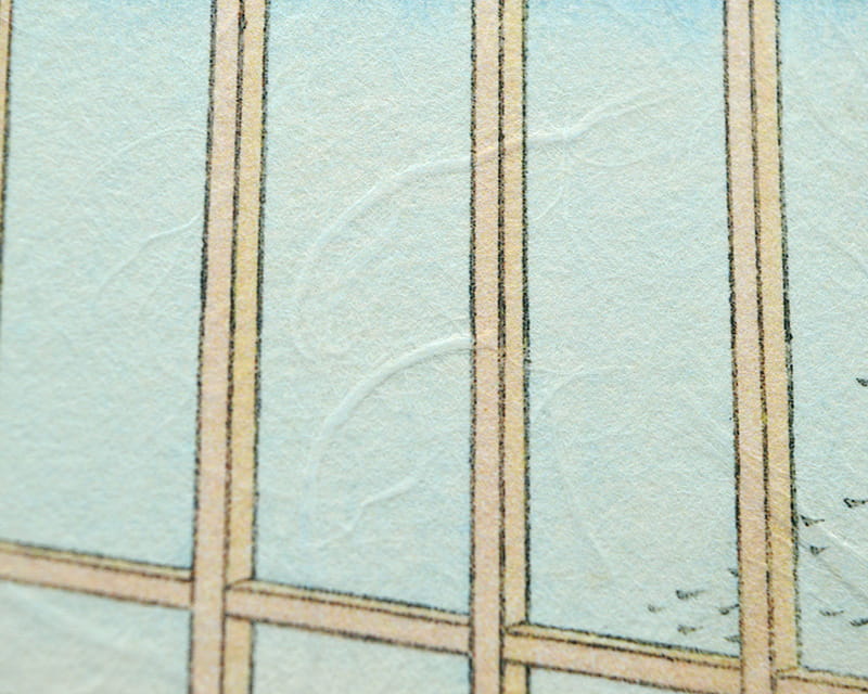 Premio Unryu, 165g (Washi met troebele kozo-vezels)  11