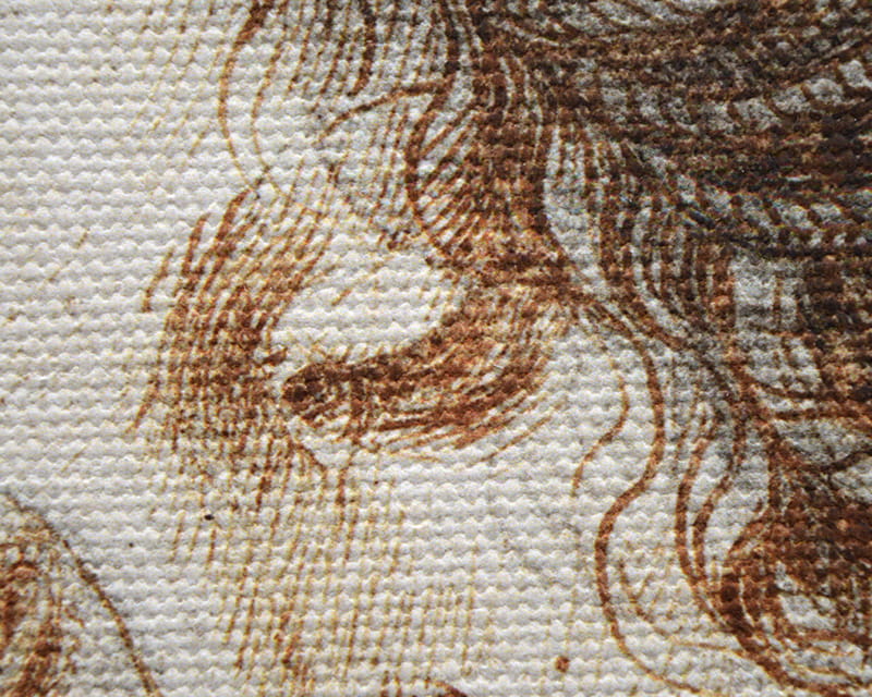 Canvas Salvador (mat) (Canvas Florenz)  33
