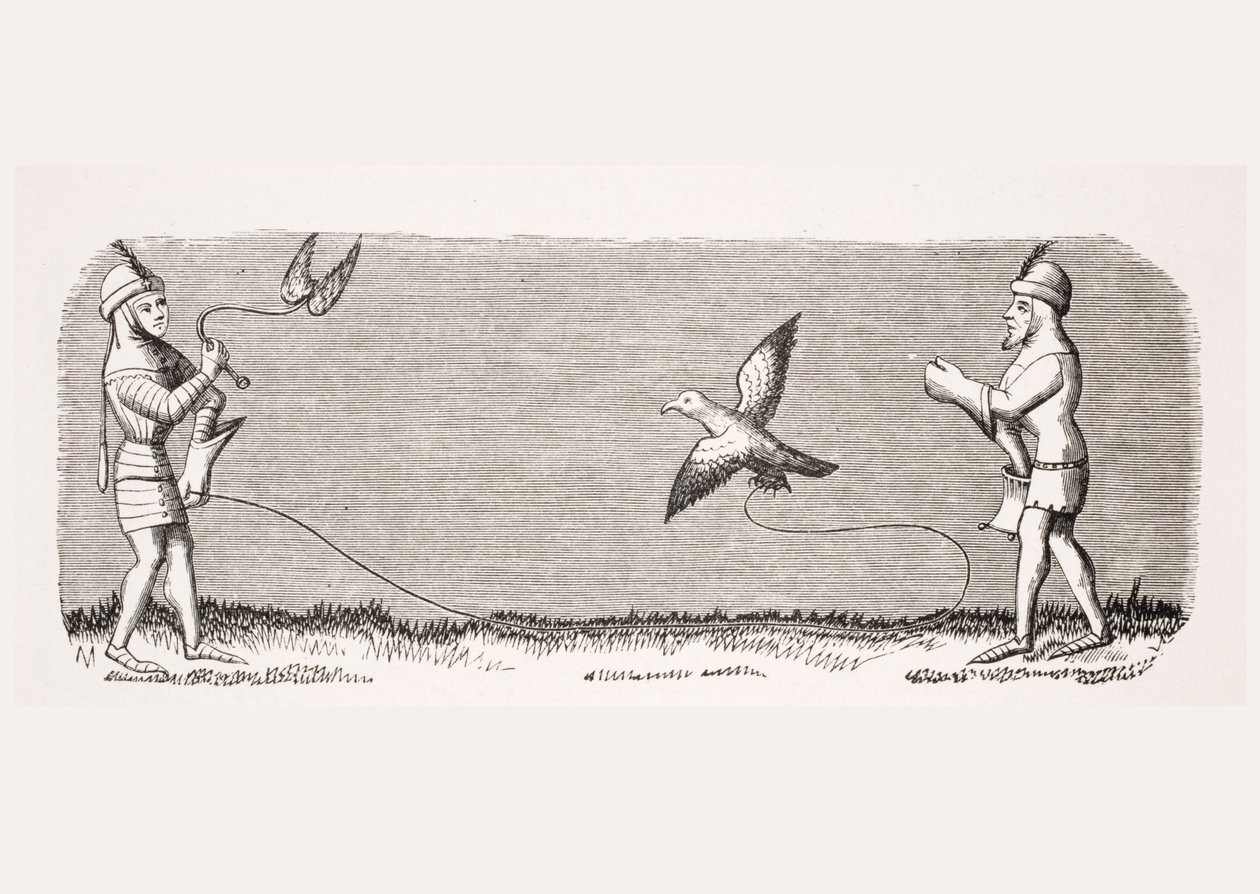 Hoe een nieuwe valk te trainen, reproductie van een miniatuur in het 14e-eeuwse manuscript 