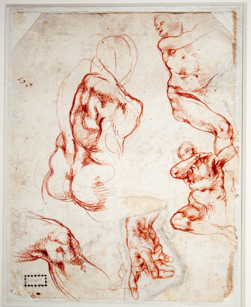 Studie voor de Hand van God (Schepping van Adam) door Michelangelo Buonarroti