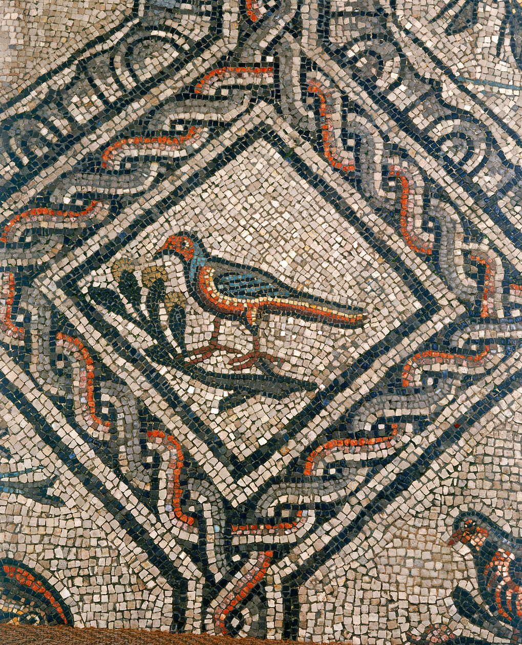 Detail van de vloer van de vroegchristelijke basiliek van Aquileia, Udine door Unknown