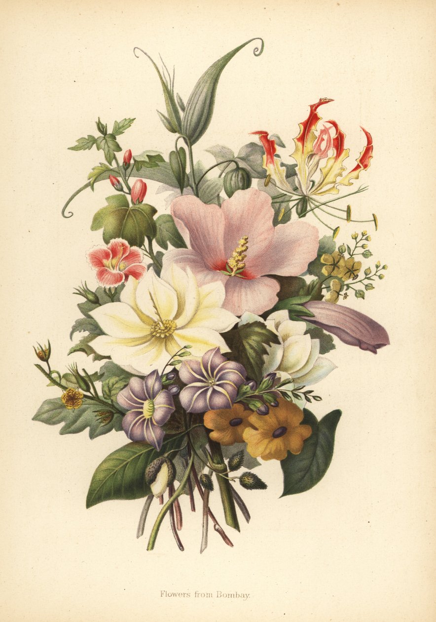 Bloemen uit Bombay, India door Unknown