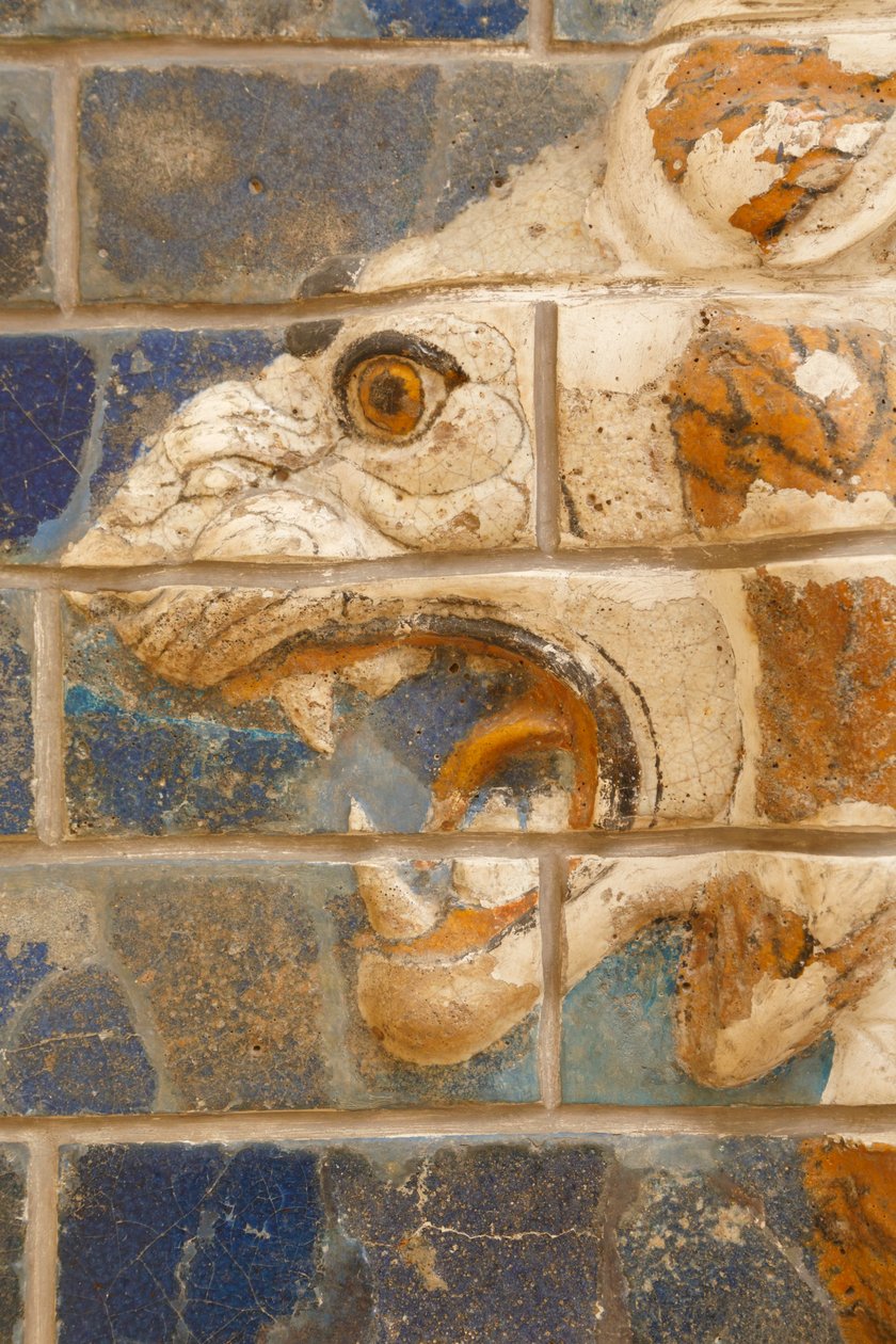 Istanbul, Turkije. Archeologisch Museum. Geglazuurde bakstenen leeuw in reliëf van de processiestraat, Babylon, daterend uit de Nebukadnezar II periode circa 604-562 v.Chr. door Unknown