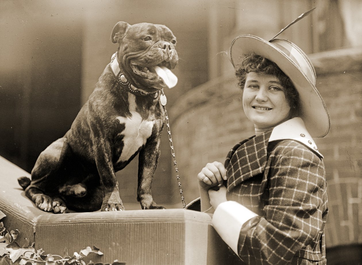 Jong meisje en haar Bull Terrier c.1915 door Unknown