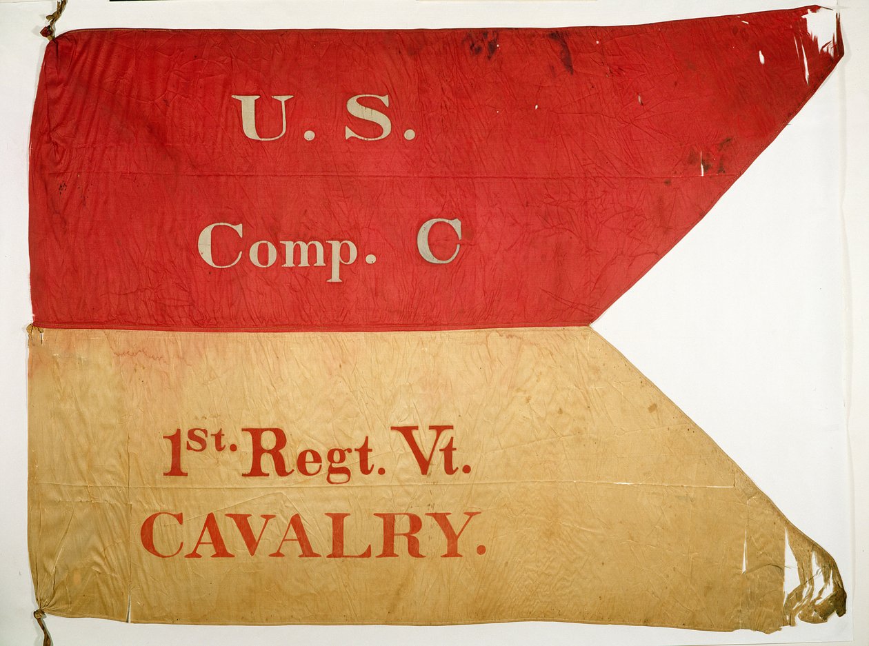 Guidon Vlag door American School