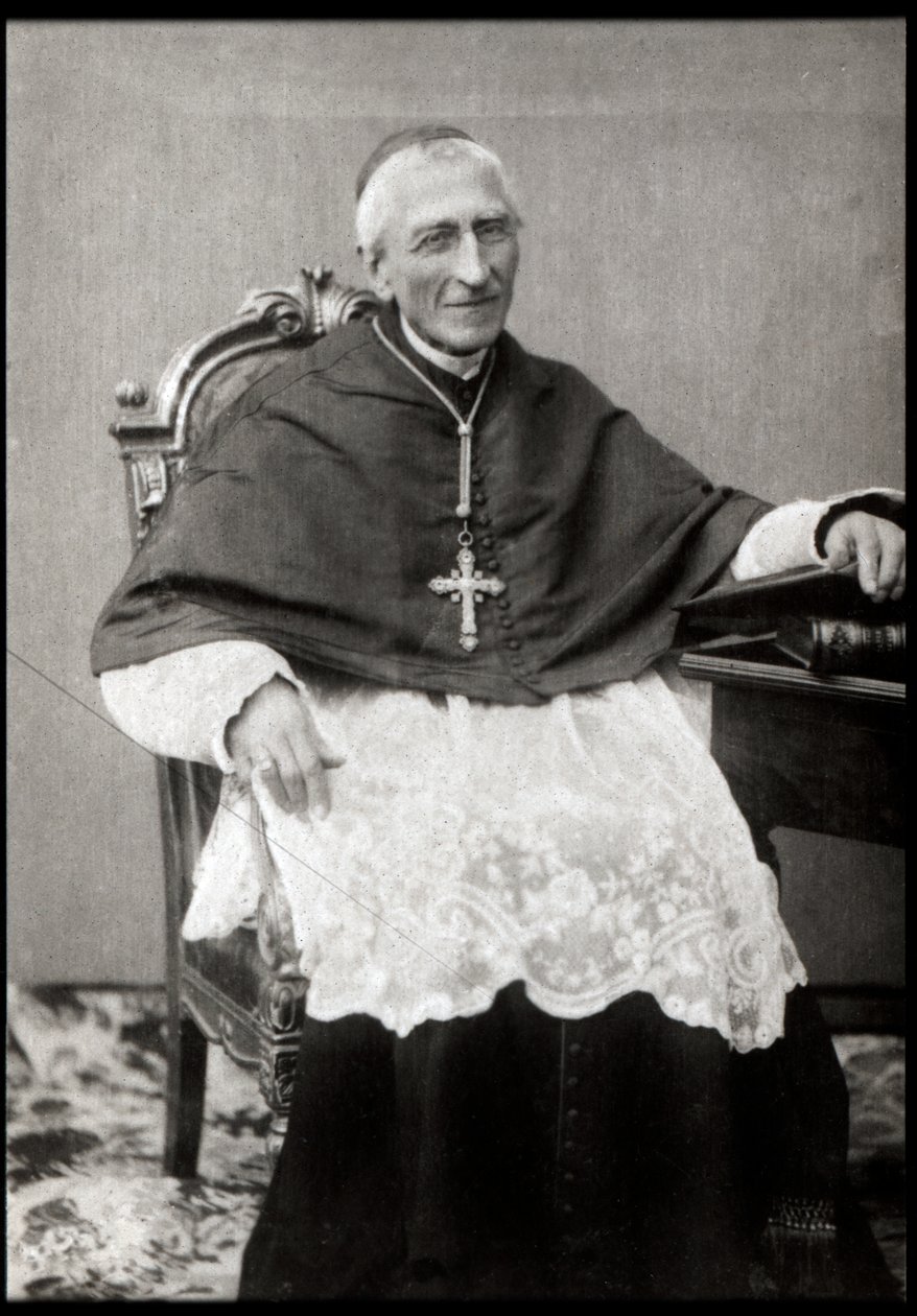Portret van Francois-Marie-Benjamin Richard de la Vergne (Kardinaal Richard) (1819-1908) door French Photographer