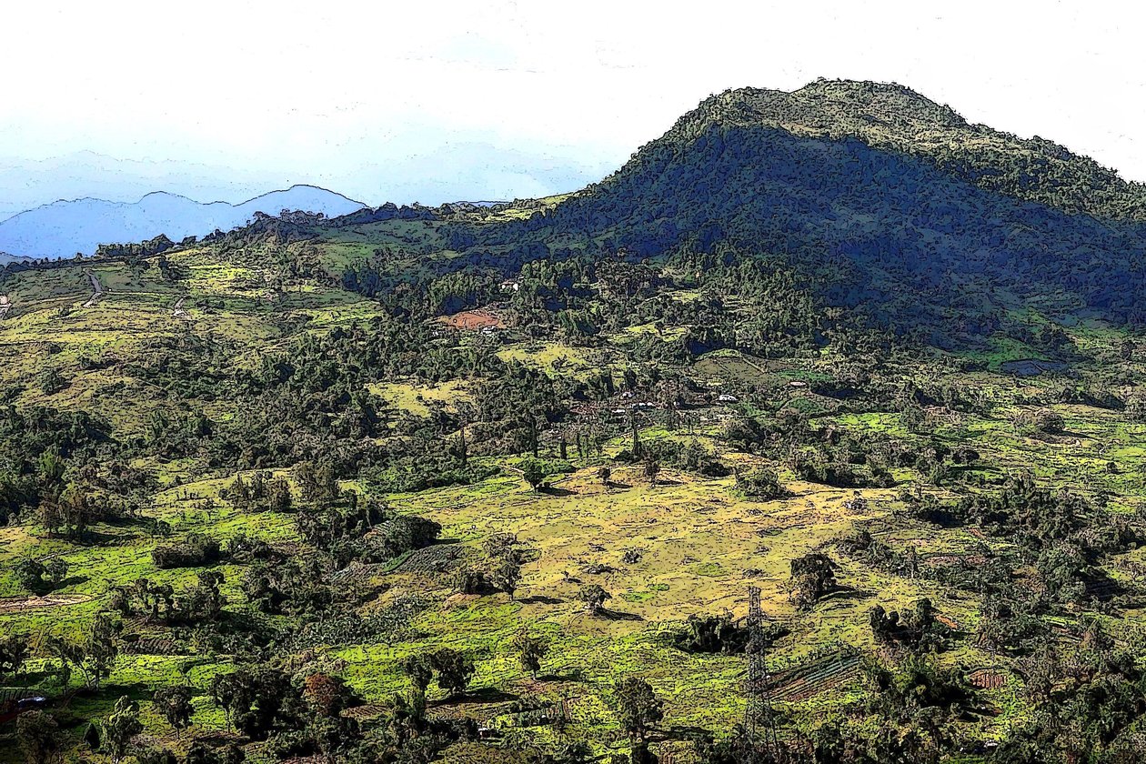 Cebu Heuvels door Detlef B. Fischer