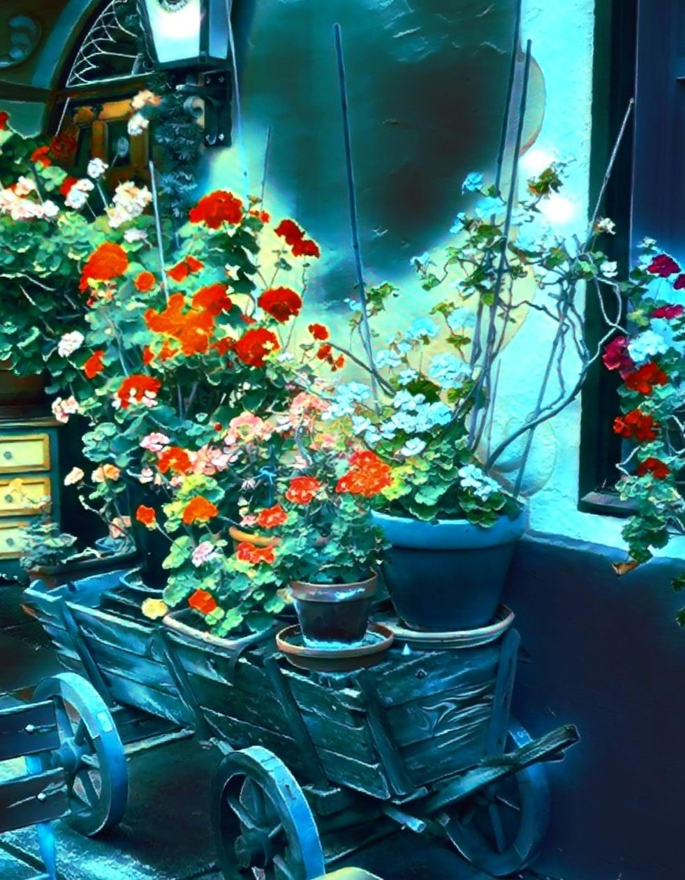 Bloemen in het maanlicht. door Margareta Uliarte