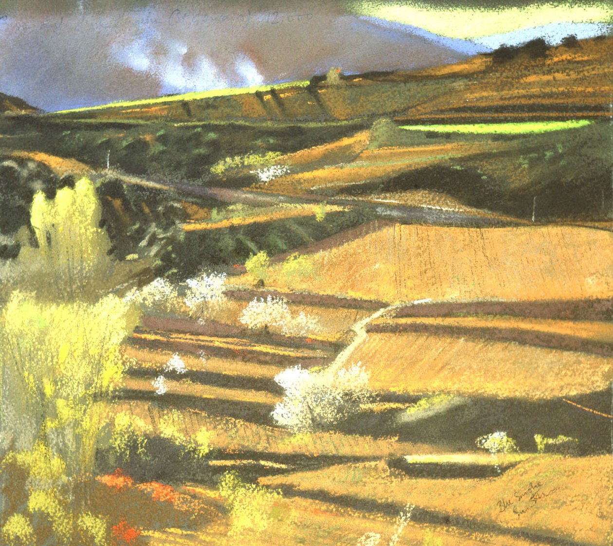 Rookblauw 40x50 door Simon Fletcher