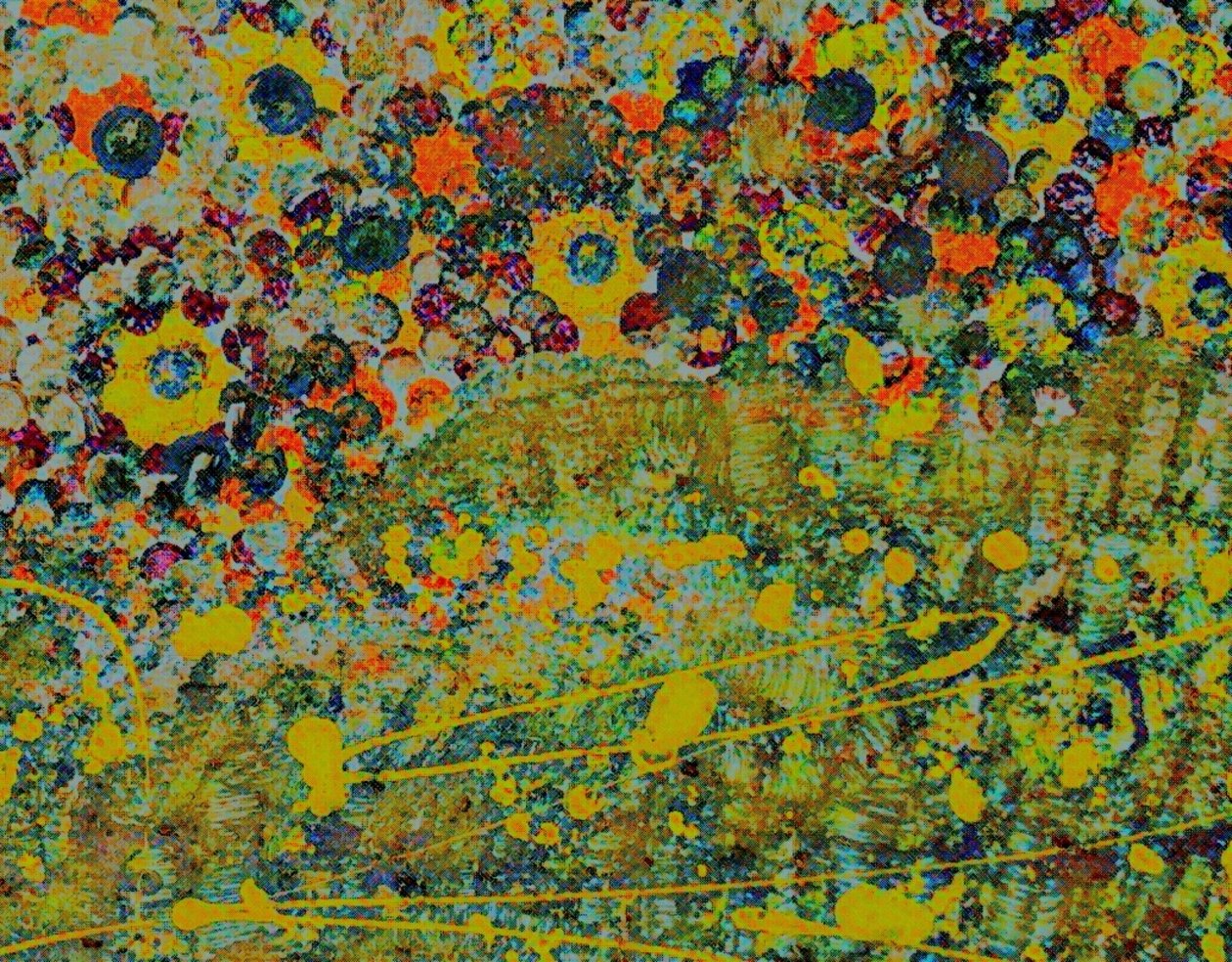Bloemsymfonie. door Margareta Uliarte