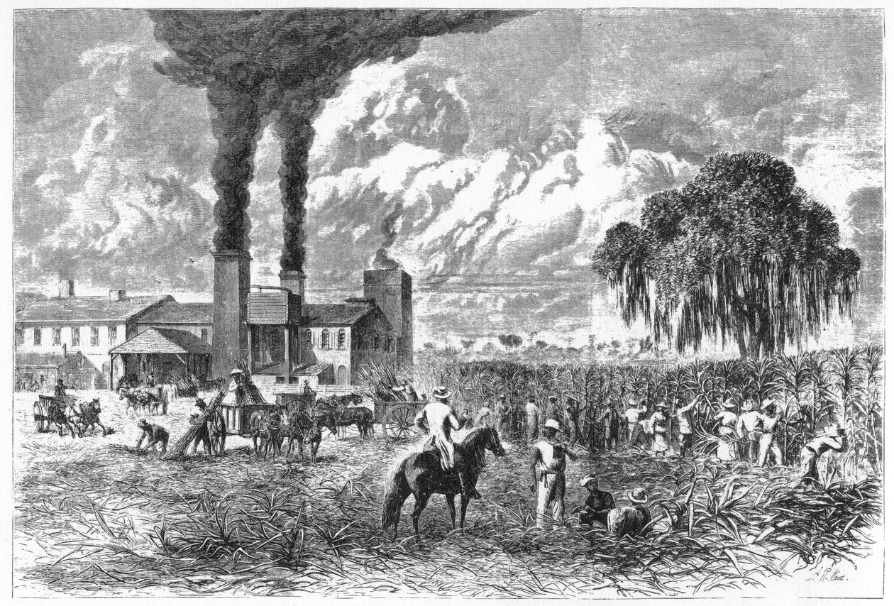 Suikerplantage, New Orleans, 1870 door A. R. Ward
