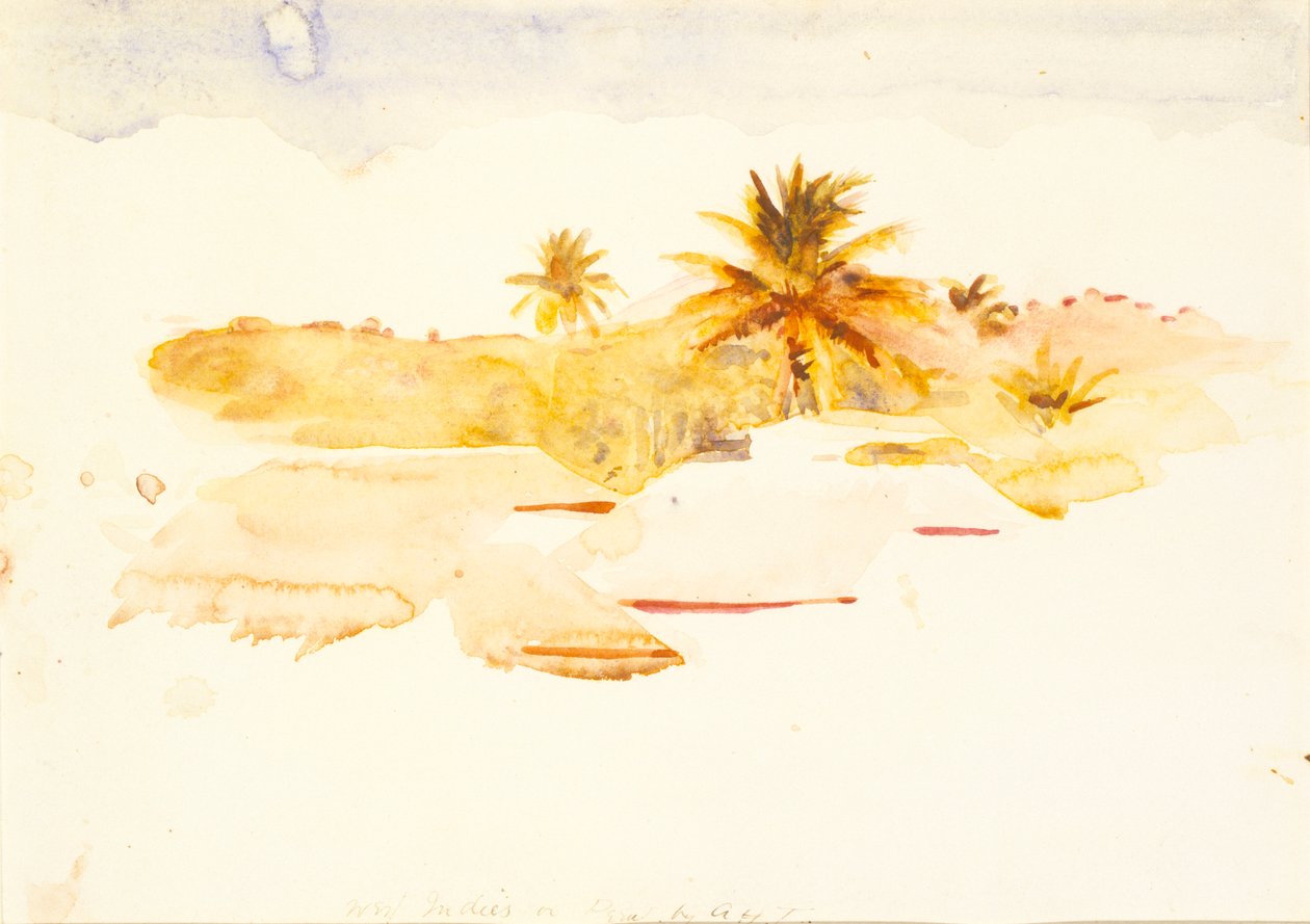 West-Indië, n.d. door Abbott Handerson Thayer