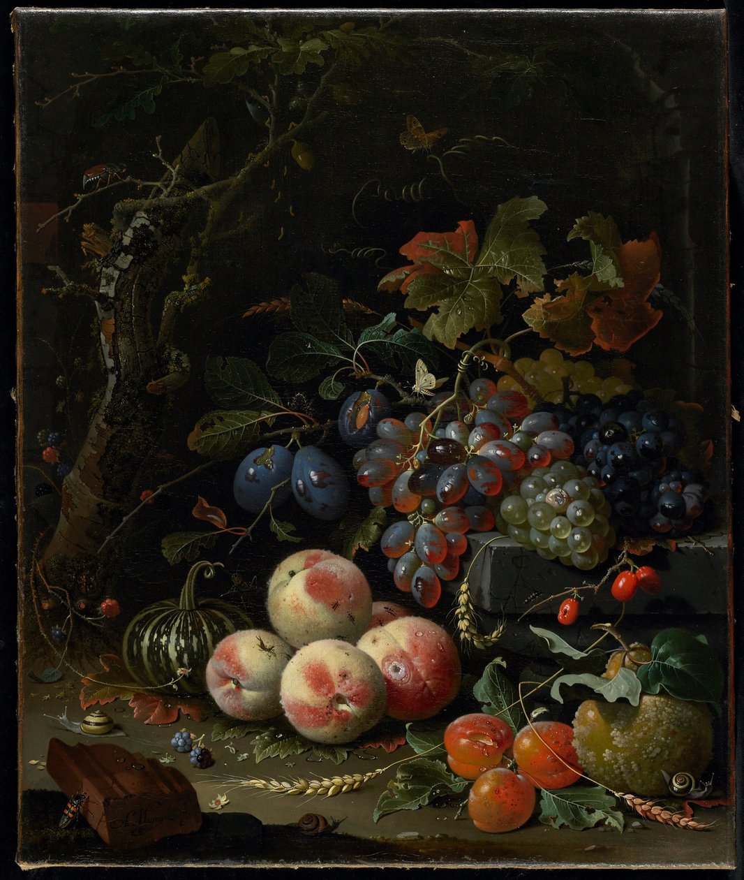 Stilleven met Fruit, Bladeren en Insecten, c.1669 door Abraham Mignon