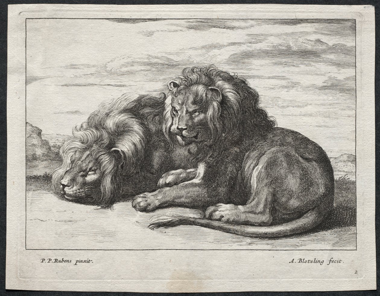 Verschillende Leeuwen door Abraham Blooteling