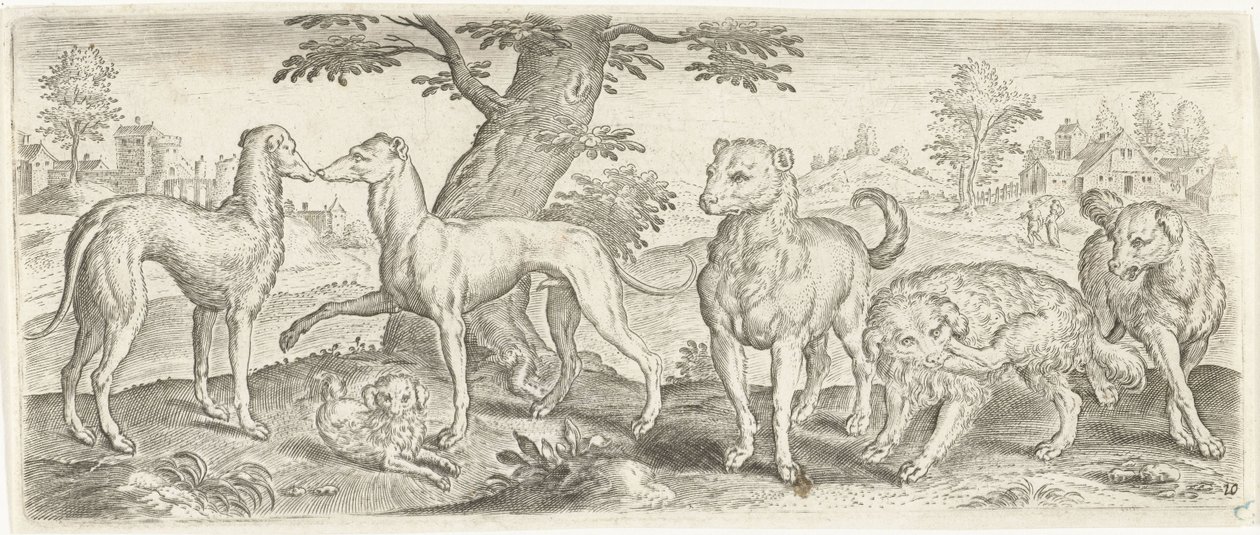 Honden Dieren (series title) door Abraham de Bruyn (possibly)