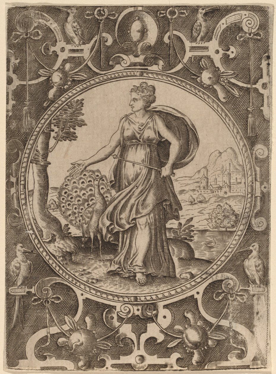 Juno door Abraham de Bruyn