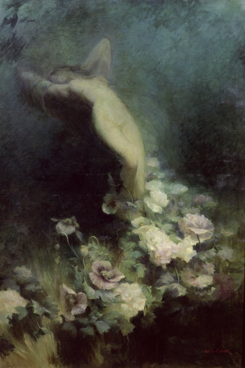 Les Fleurs du Sommeil door Achille Theodore Cesbron