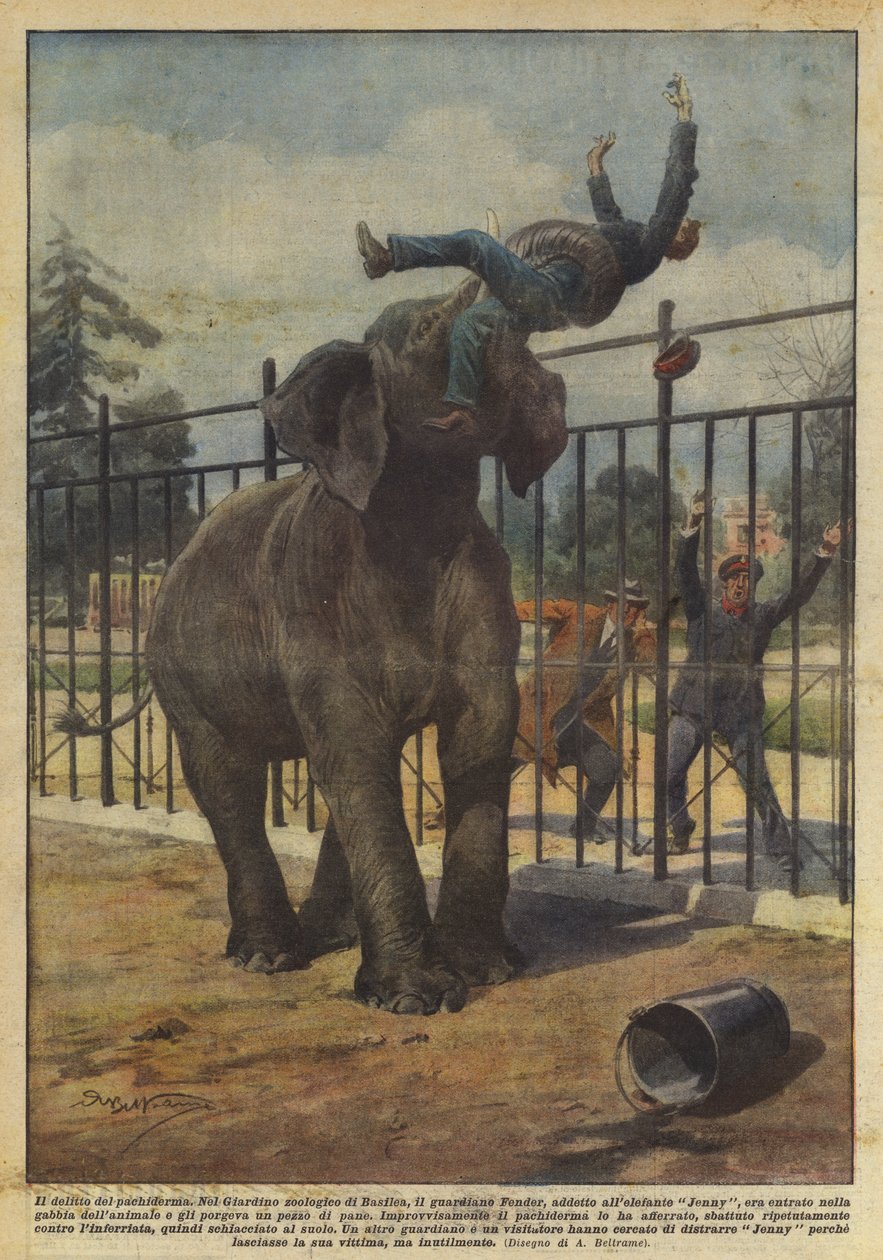 De misdaad van de pachyderm door Achille Beltrame