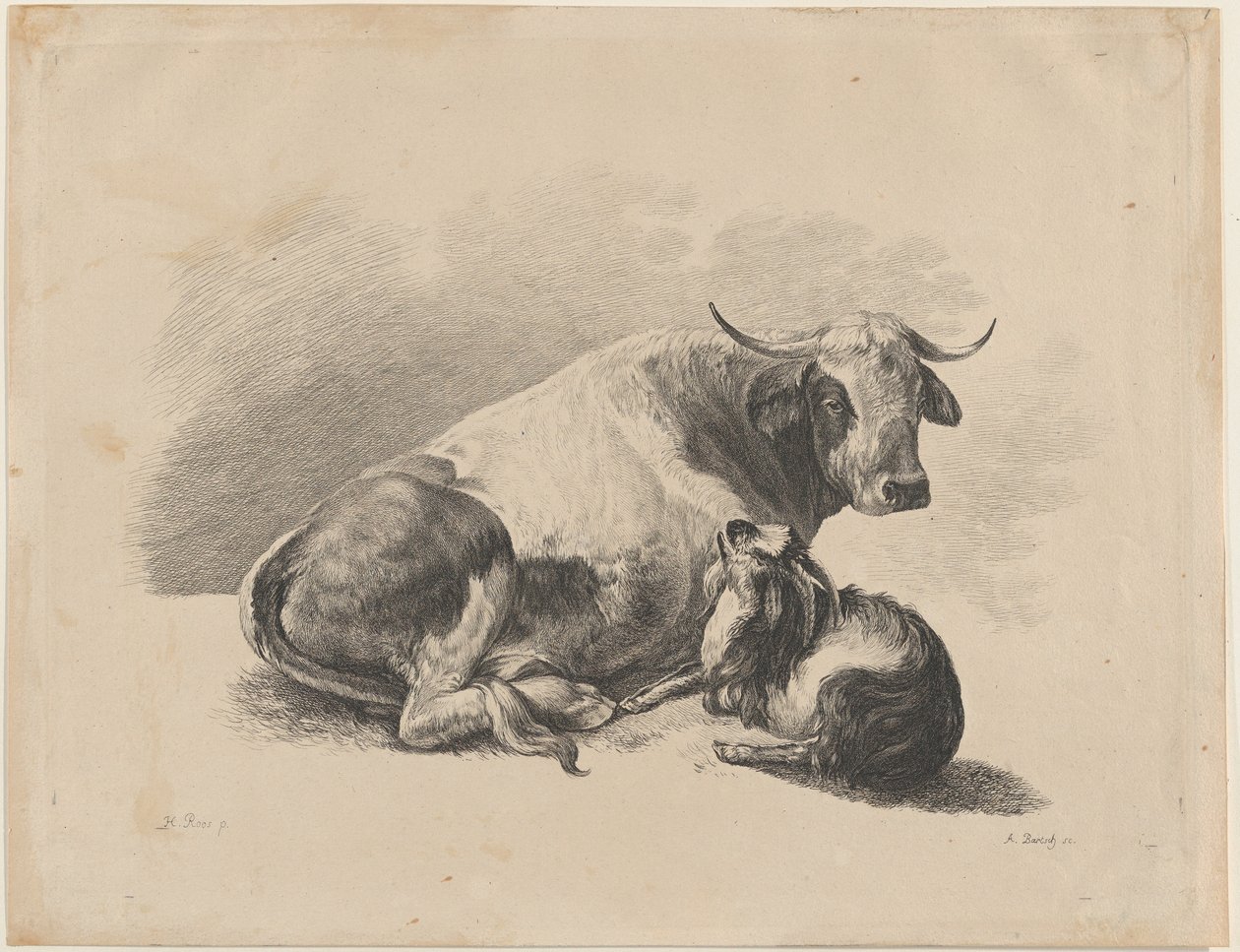 Koe en Geit Liggend, 1800-01 door Adam von Bartsch