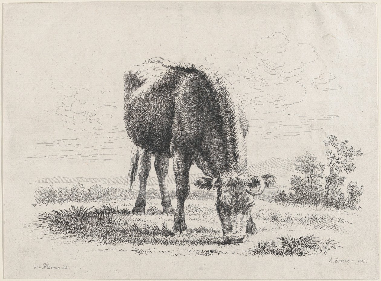 Koe die graast, 1805 door Adam von Bartsch