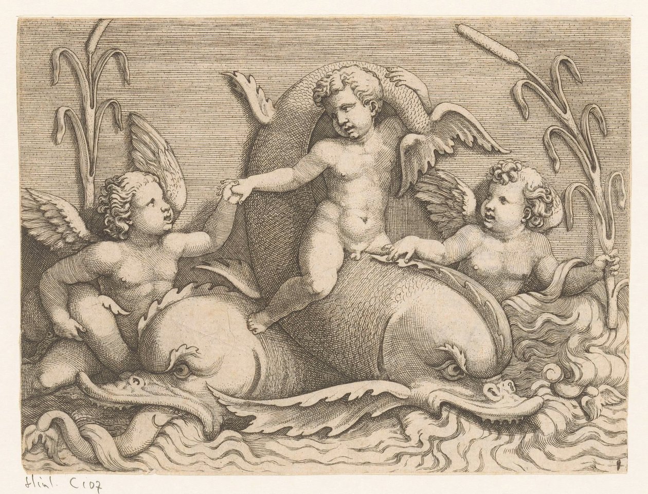Drie putti met dolfijnen door Adamo Scultori