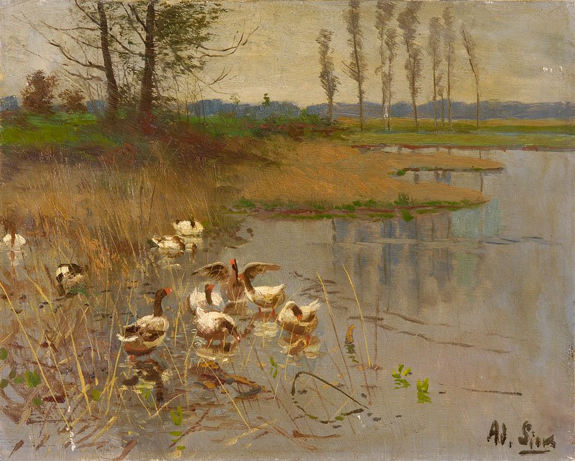Zeegezicht met ganzen door Adolf Lins