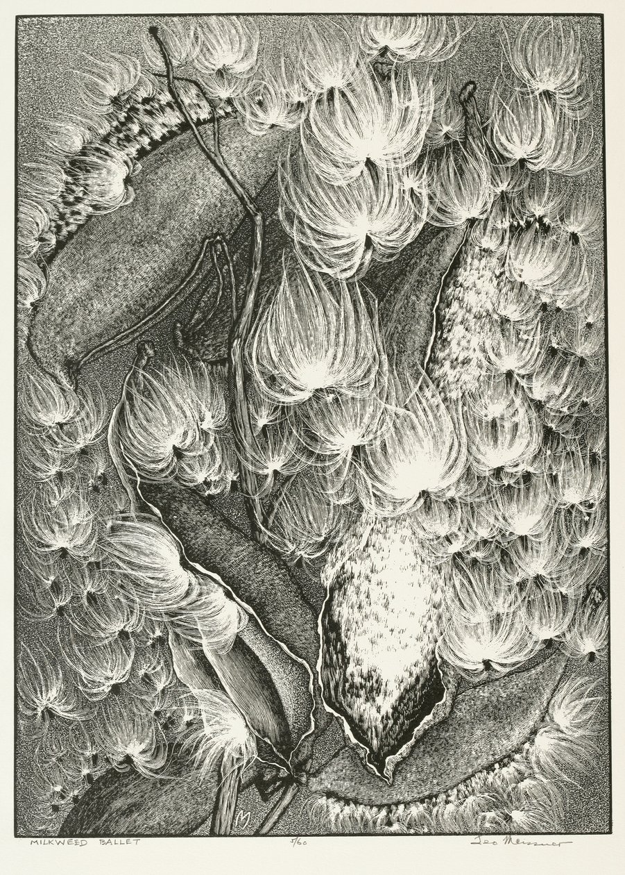 Milkweed Ballet door Adolf Ernst Meissner