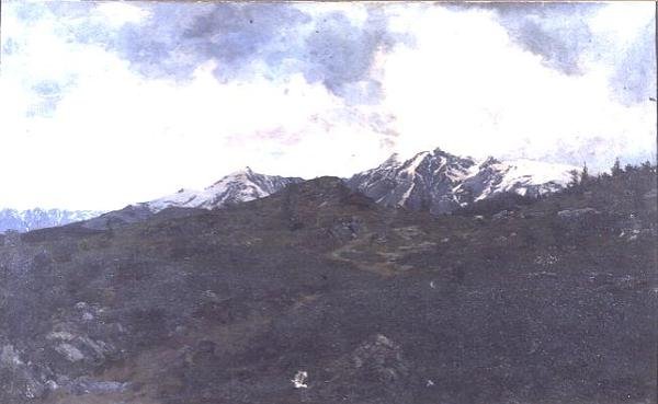 In Alpenweiden door Adolf von Meckel