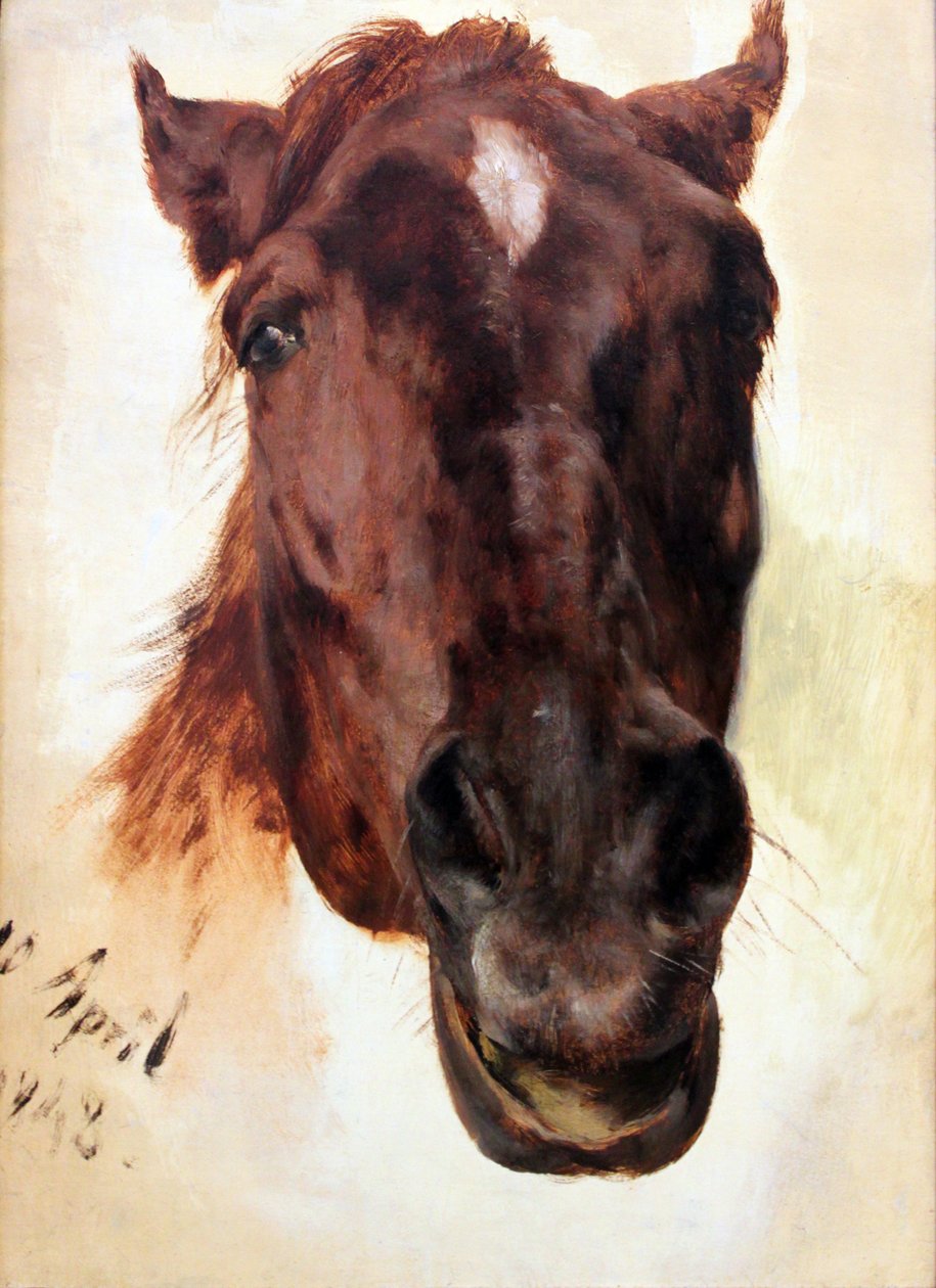 Paardenstudie door Adolph Menzel