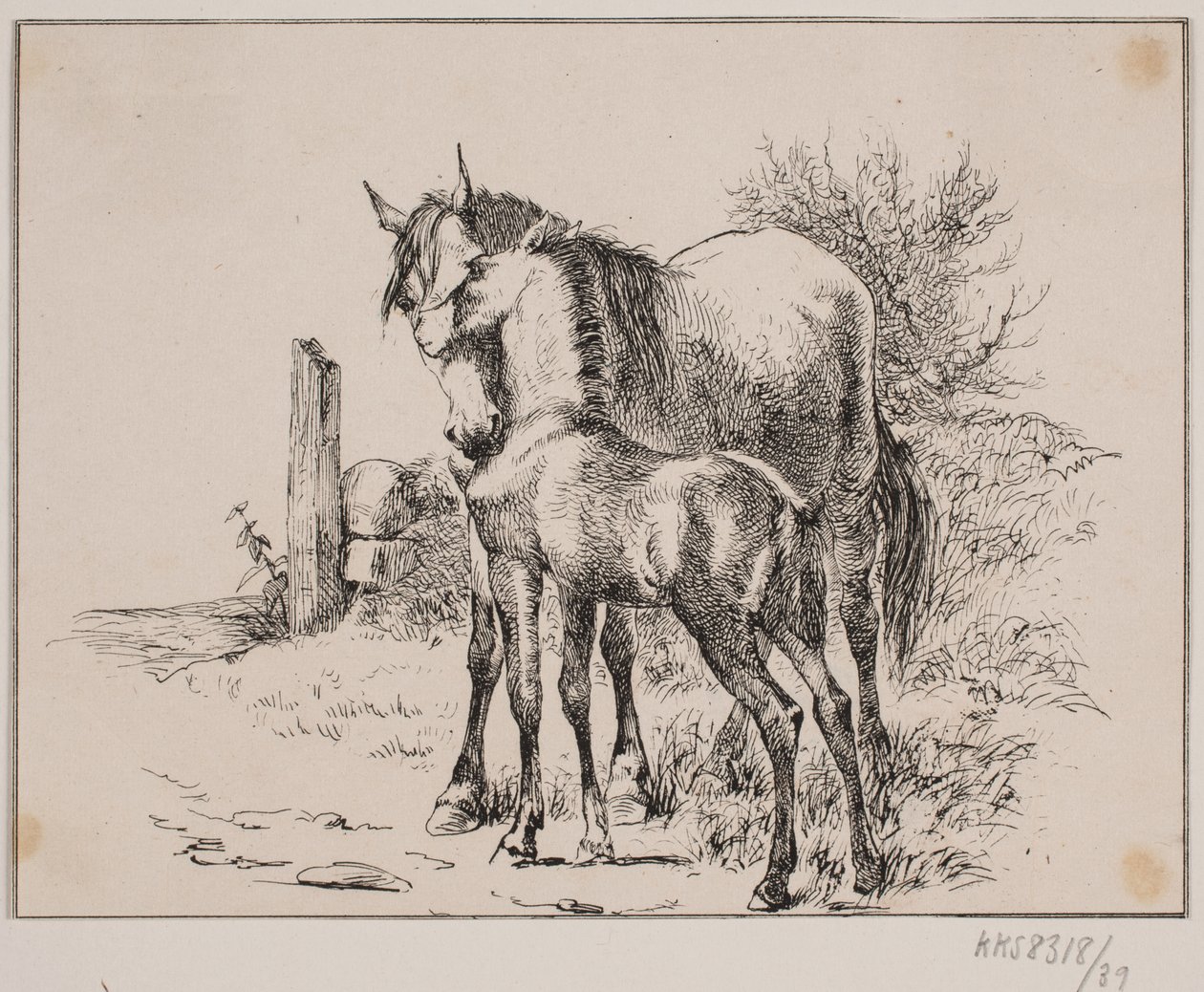 Het paard en het veulen door Johan Adolph Kittendorff