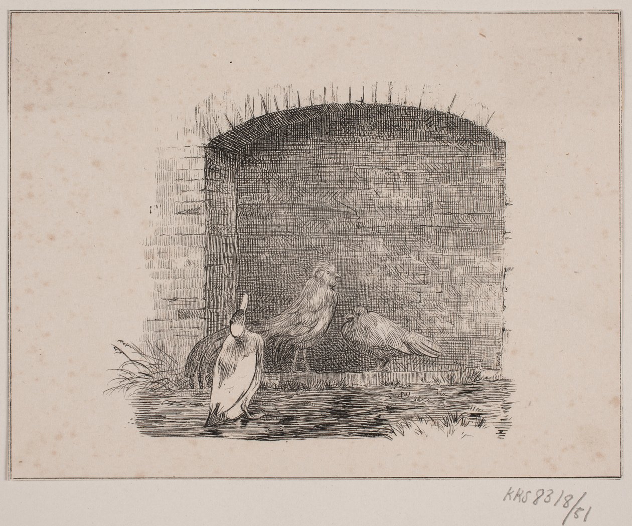 De kippen en eenden door Johan Adolph Kittendorff