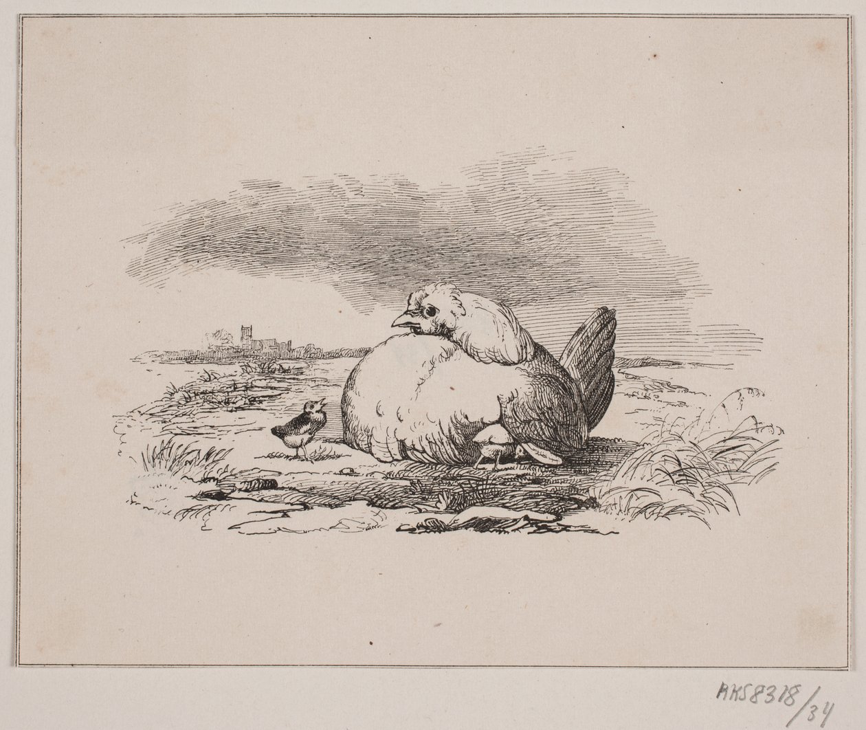 De kuikens door Johan Adolph Kittendorff