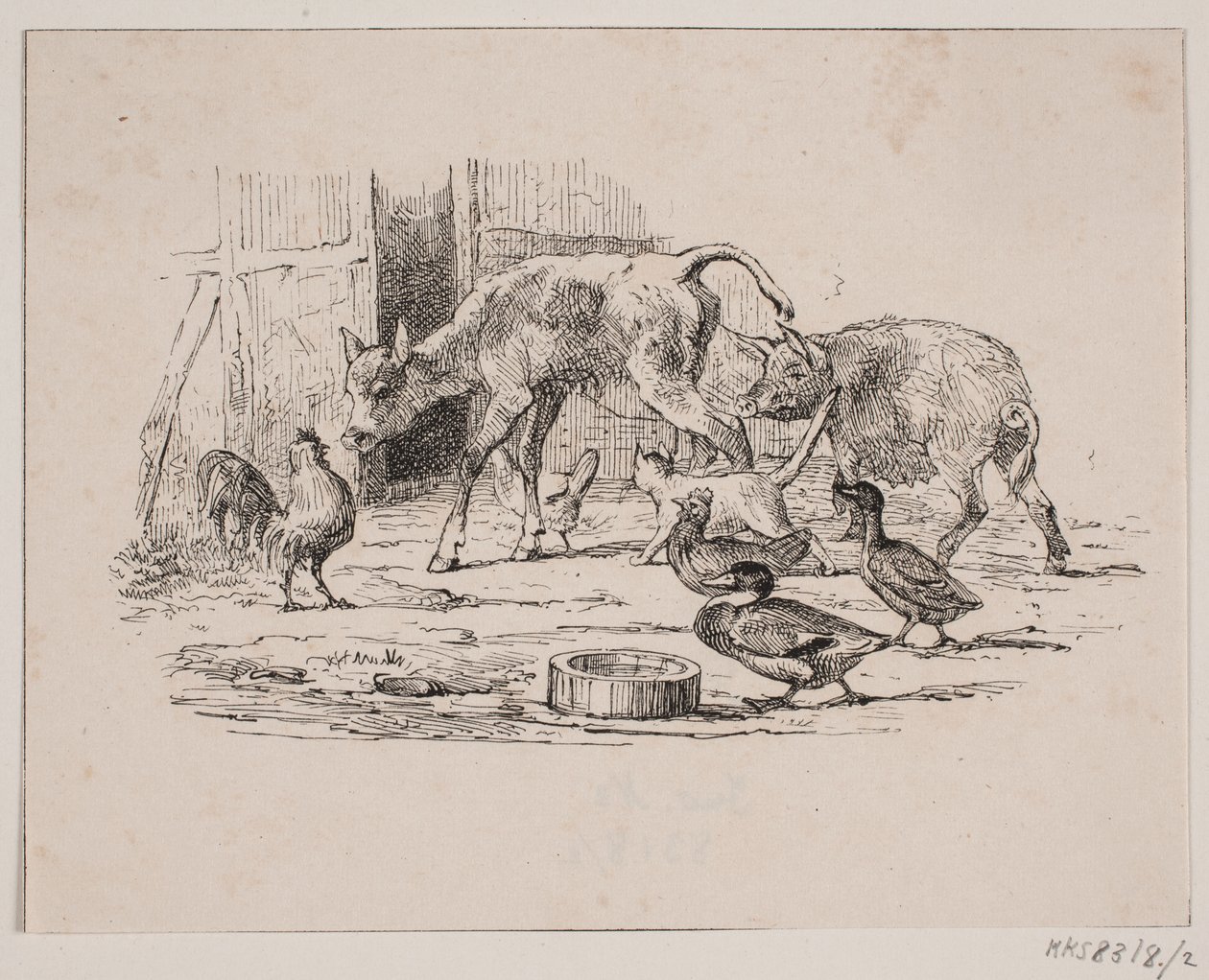 Kalf door Johan Adolph Kittendorff