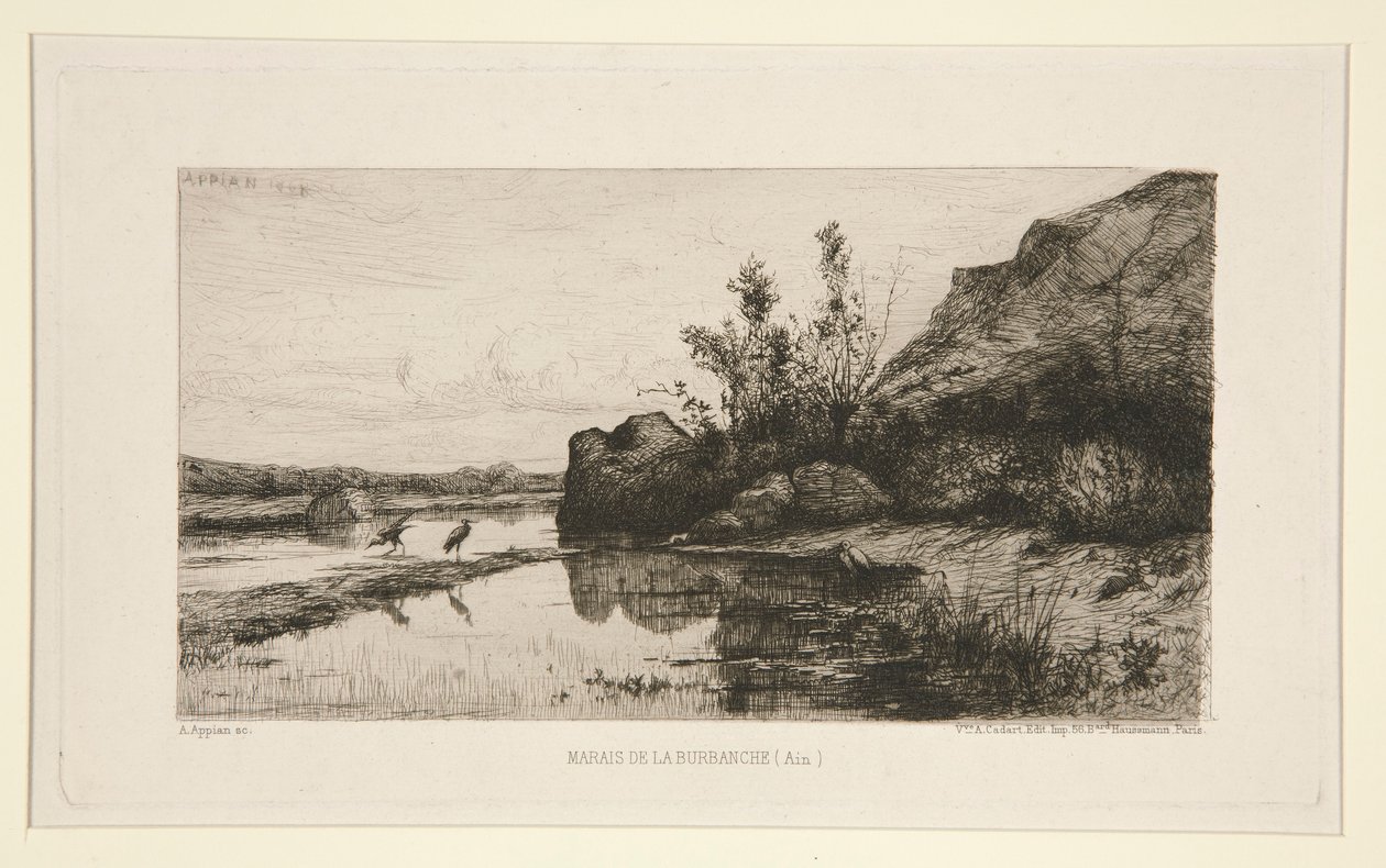 Marais de la Burbanche (Ain) door Adolphe Appian