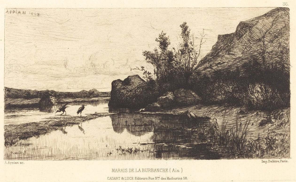 Marais de la Burbanche door Adolphe Appian