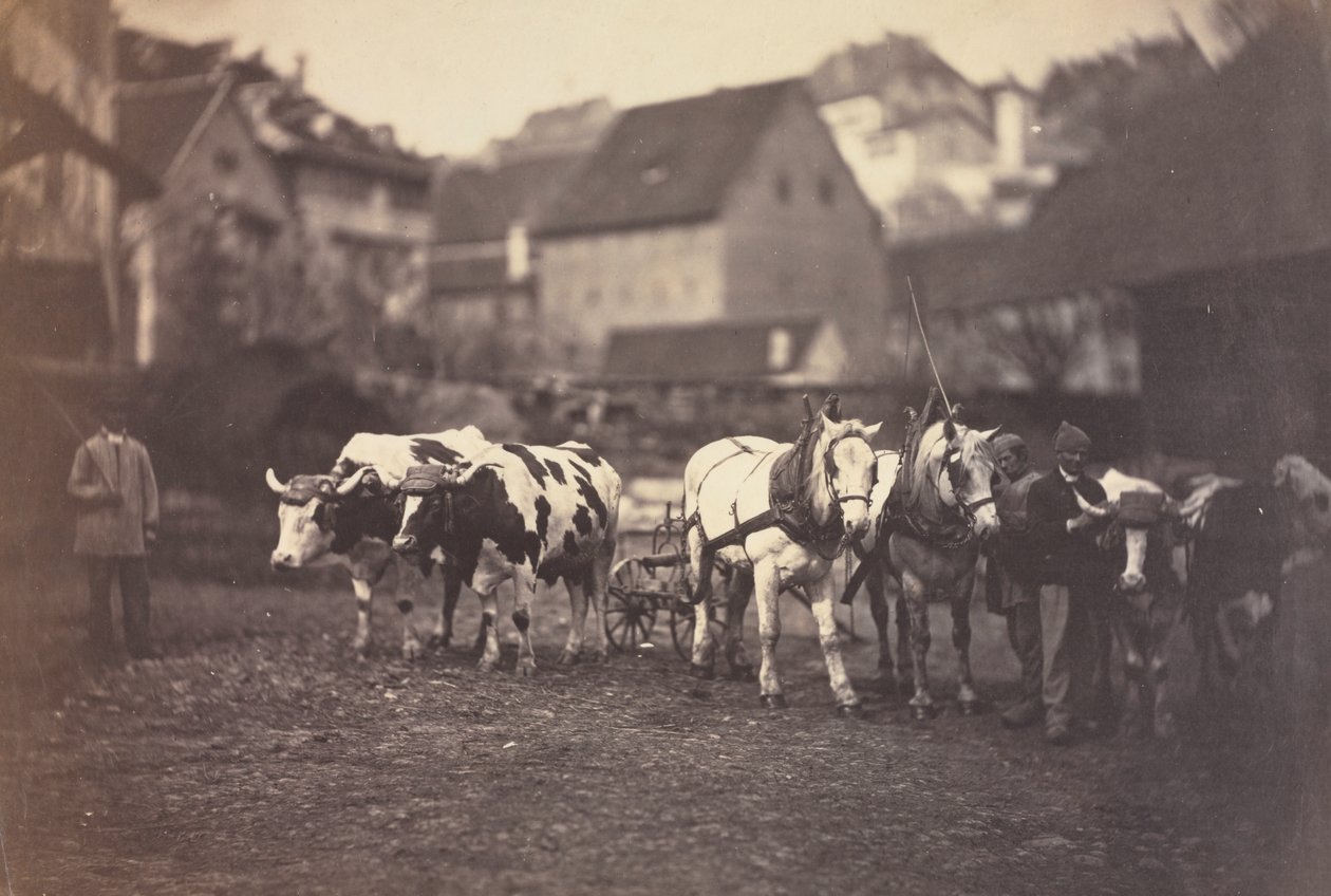 Zonder Titel (Boerderijdieren) door Adolphe Braun