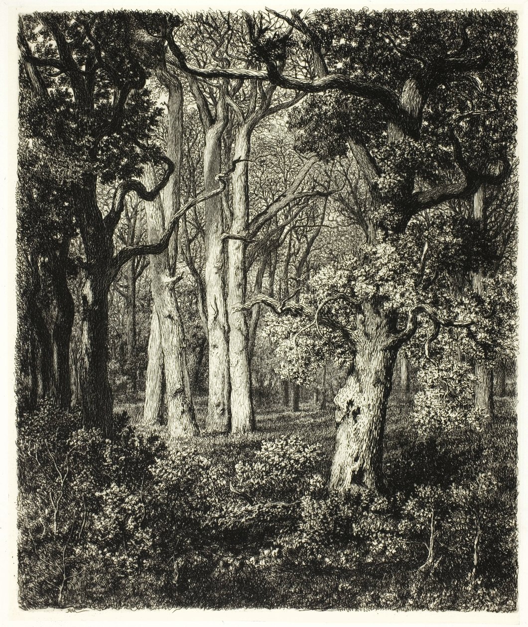 Oude eiken bij Bas Bréau door Adolphe Martial Potemont