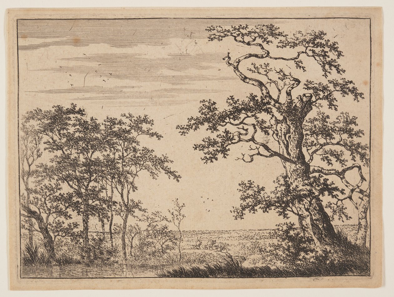 De vijver door Adriaen Hendricksz. Verboom