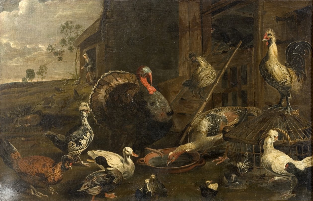 Kippen, eenden en een kalkoenhaan door Adriaen van Utrecht