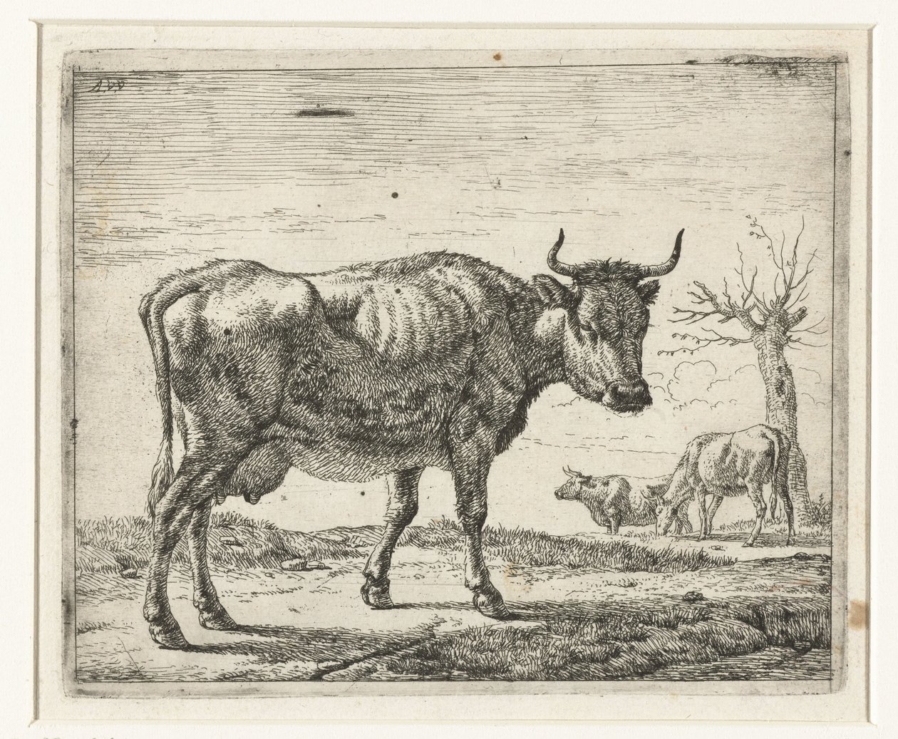 Drie koeien door Adriaen van de Velde