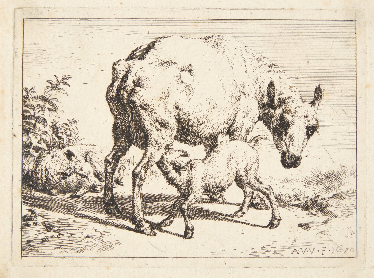 Schapen en twee lammeren door Adriaen van de Velde