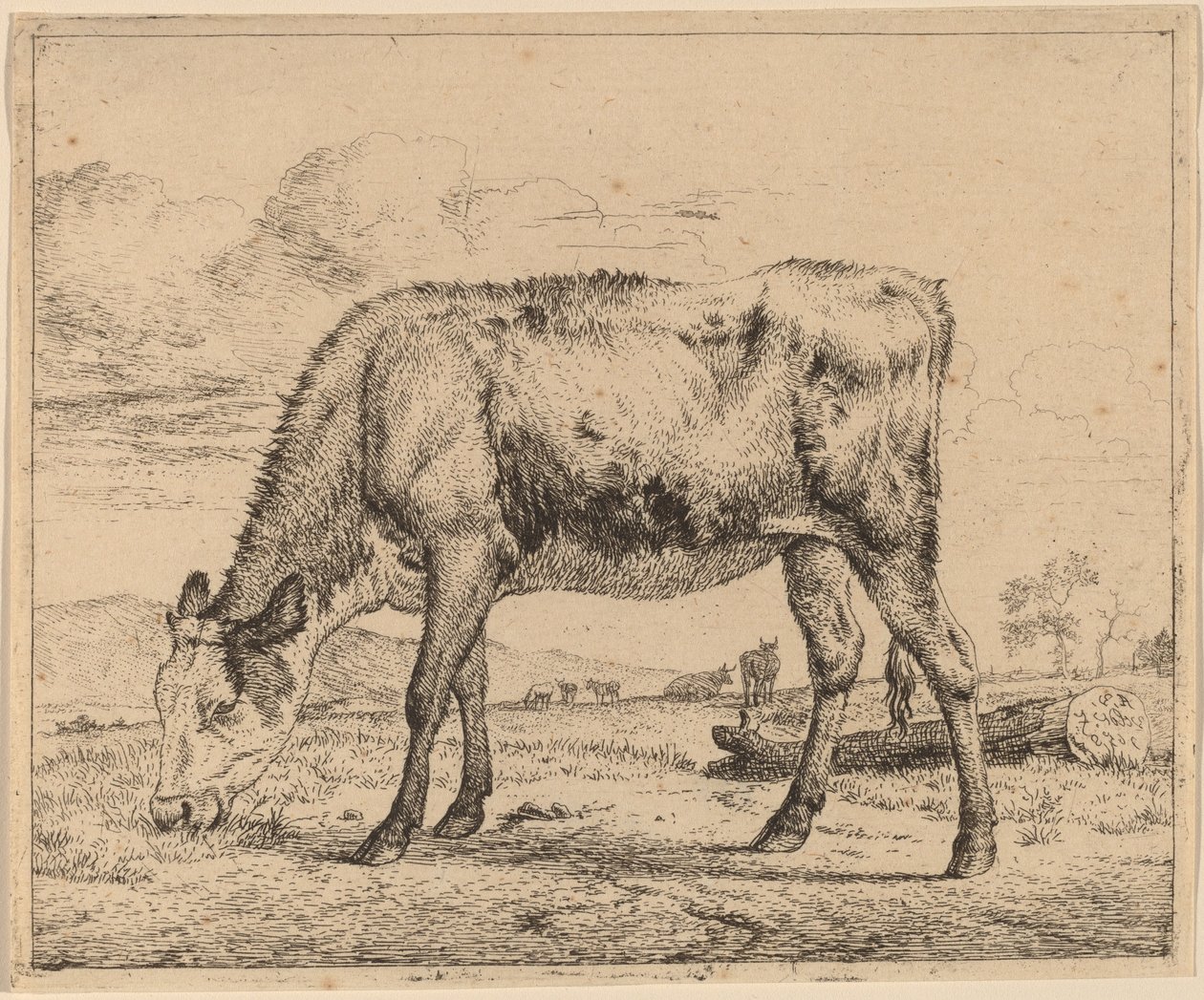 Grazend Kalf door Adriaen van de Velde