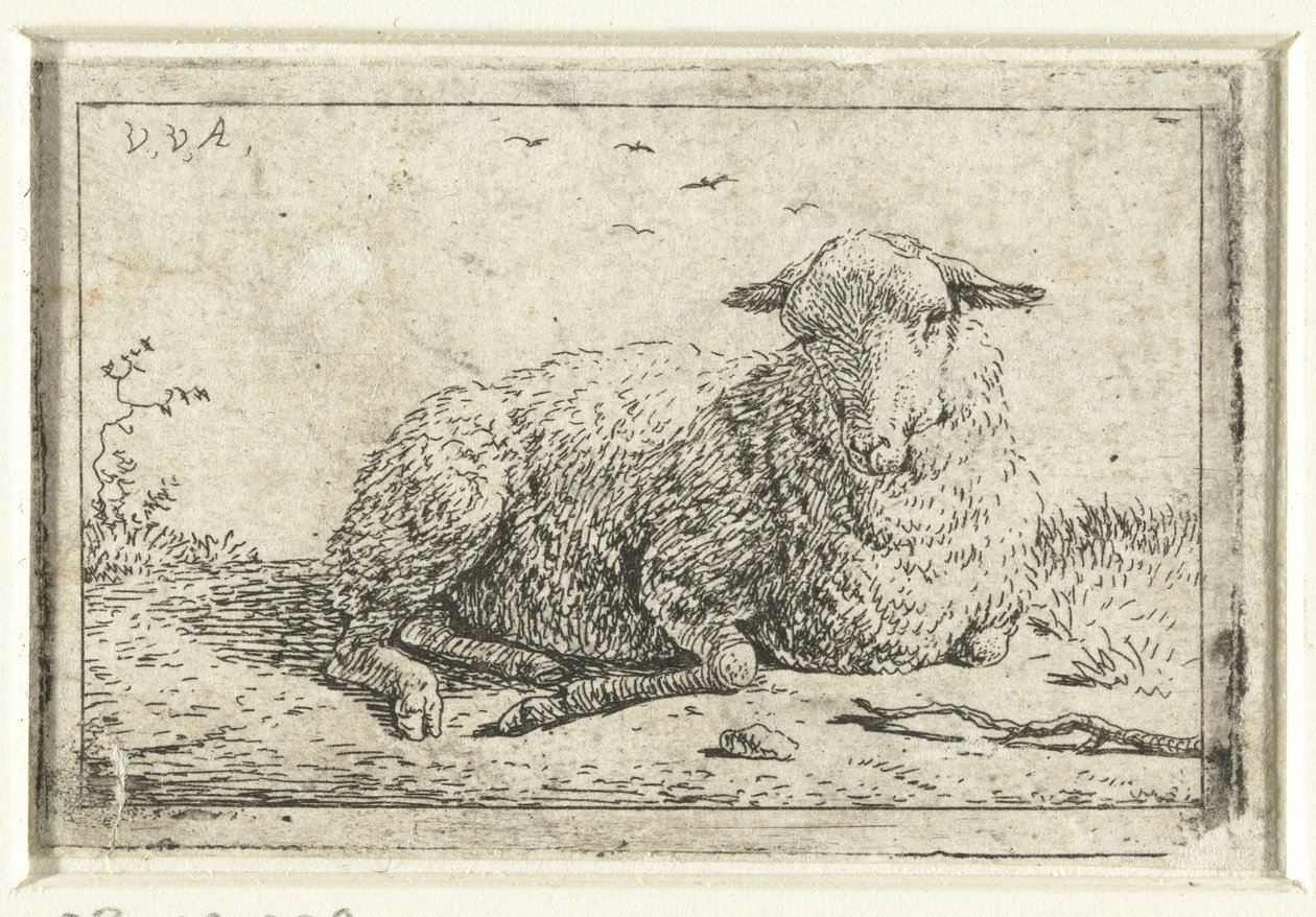 Liggend schaap door Adriaen van de Velde