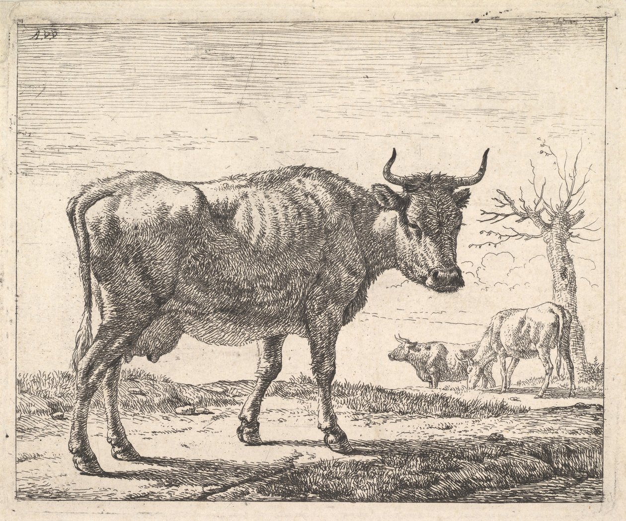 Drie Koeien door Adriaen van de Velde