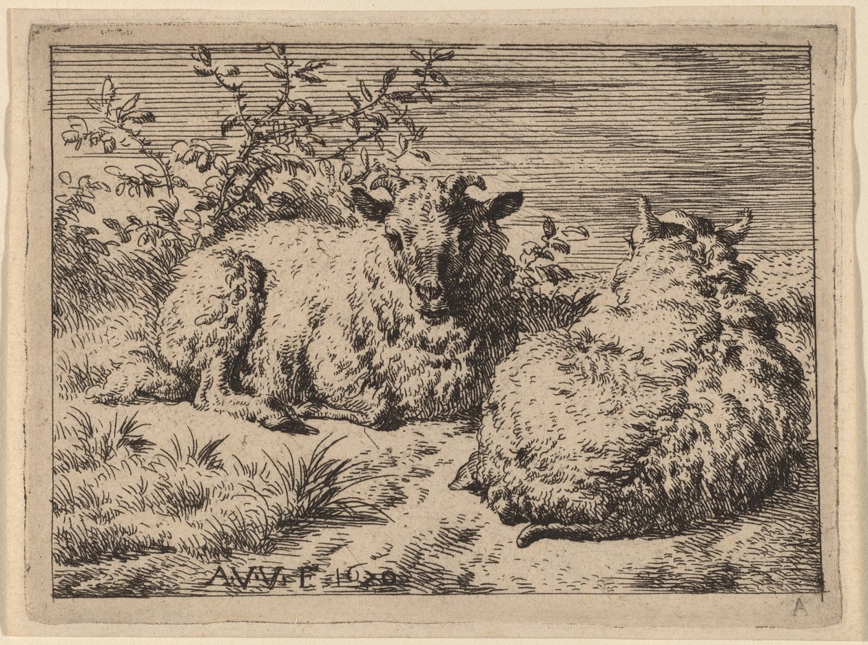 Twee liggende schapen door Adriaen van de Velde