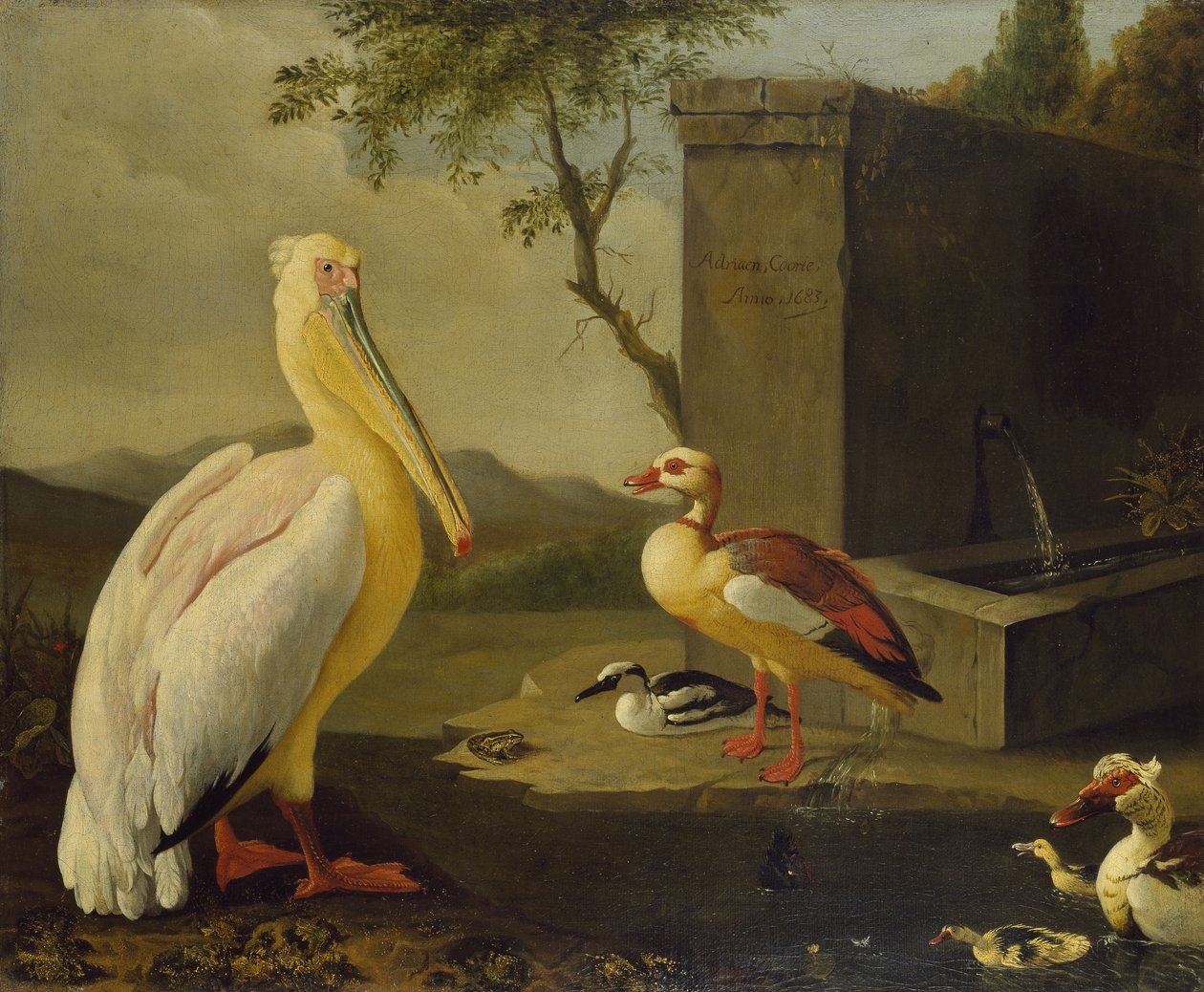 Oosterse Vogels door Adrian Coorte