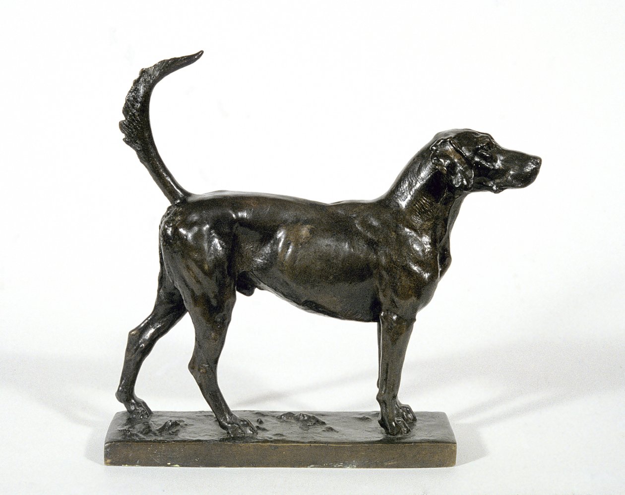 De hond 