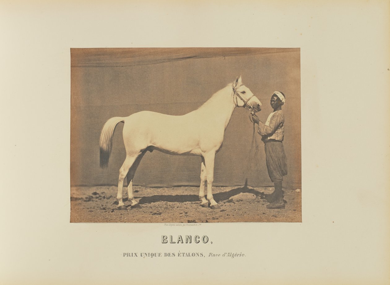 Blanco door Adrien Alban Tournachon